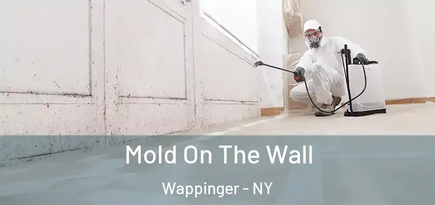 Mold On The Wall Wappinger - NY