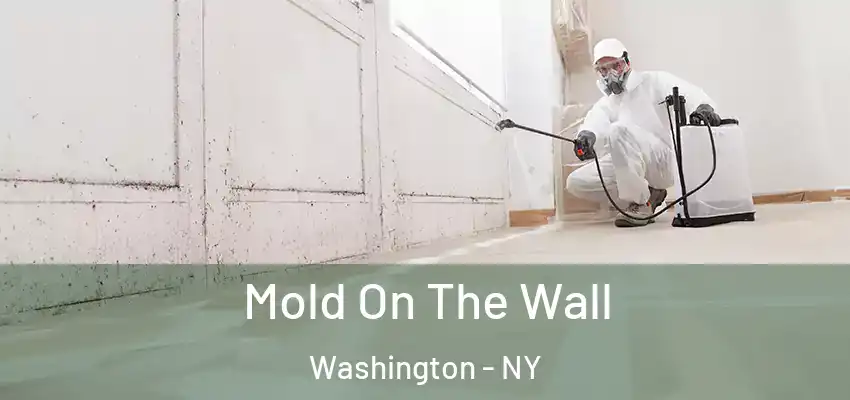 Mold On The Wall Washington - NY