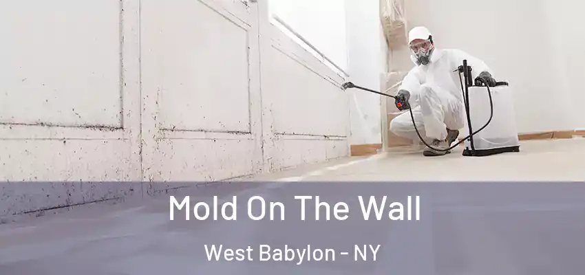 Mold On The Wall West Babylon - NY