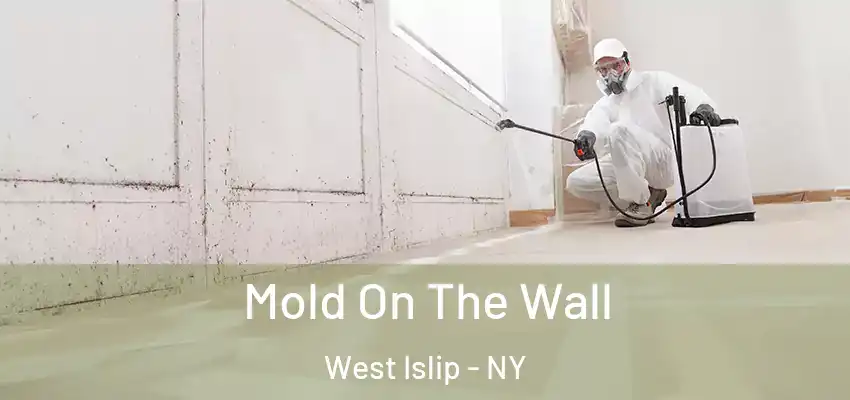  Mold On The Wall West Islip - NY
