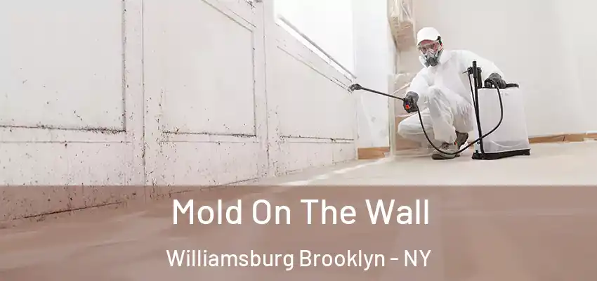  Mold On The Wall Williamsburg Brooklyn - NY
