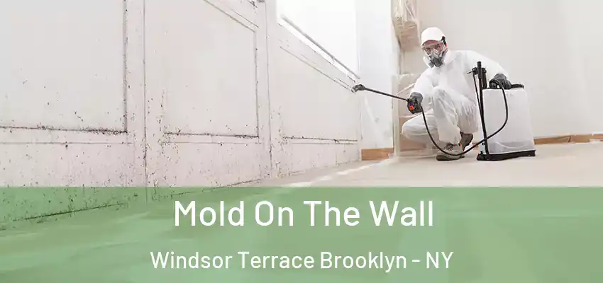 Mold On The Wall Windsor Terrace Brooklyn - NY