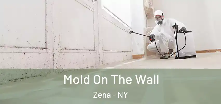 Mold On The Wall Zena - NY