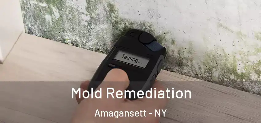  Mold Remediation Amagansett - NY