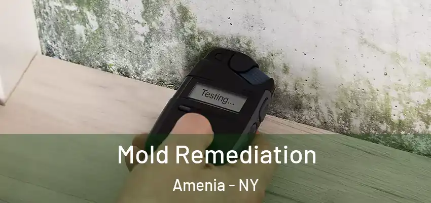  Mold Remediation Amenia - NY