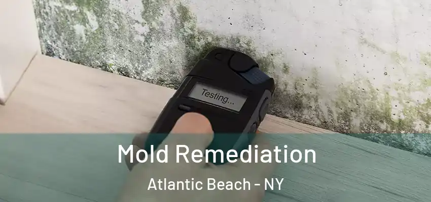  Mold Remediation Atlantic Beach - NY