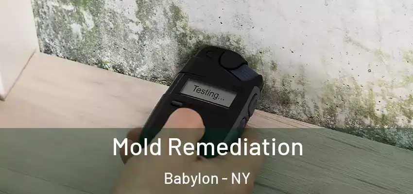Mold Remediation Babylon - NY