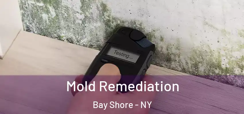  Mold Remediation Bay Shore - NY