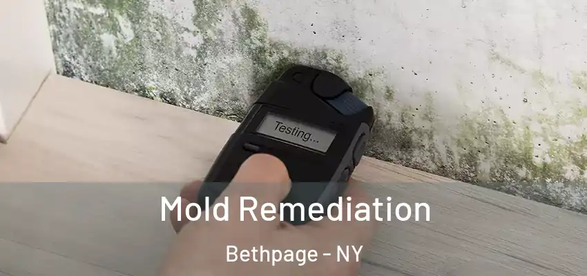 Mold Remediation Bethpage - NY