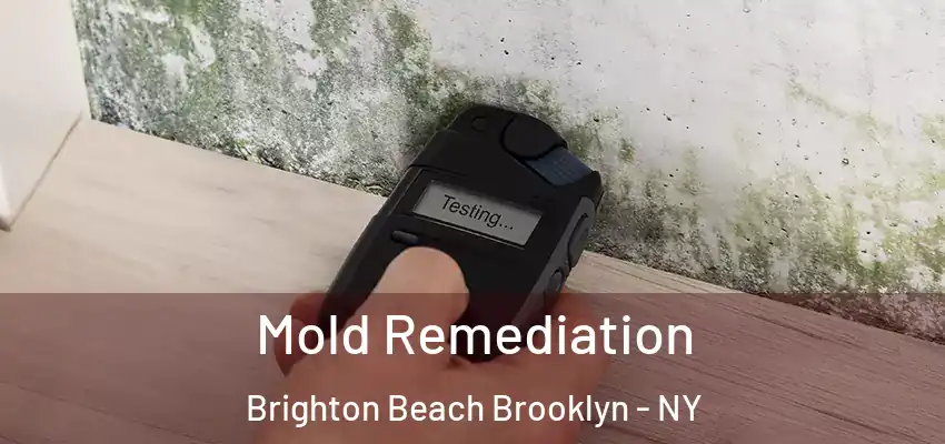  Mold Remediation Brighton Beach Brooklyn - NY