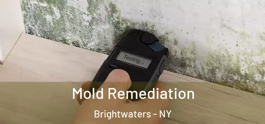  Mold Remediation Brightwaters - NY