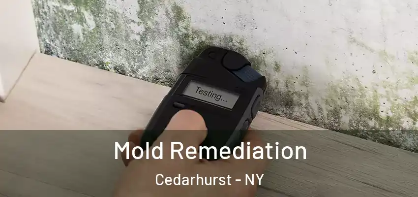 Mold Remediation Cedarhurst - NY