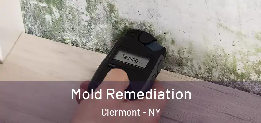  Mold Remediation Clermont - NY