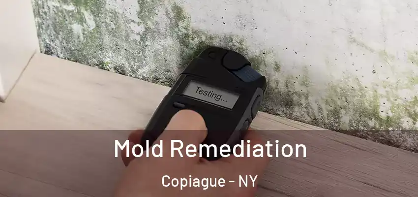 Mold Remediation Copiague - NY
