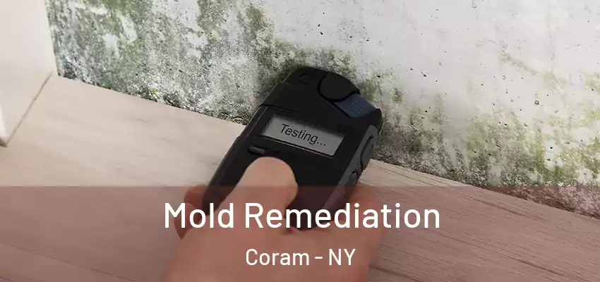 Mold Remediation Coram - NY