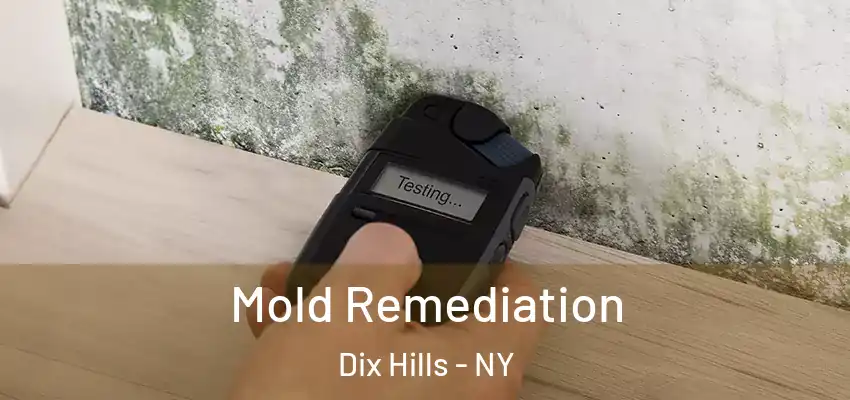  Mold Remediation Dix Hills - NY