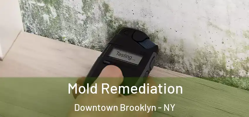  Mold Remediation Downtown Brooklyn - NY