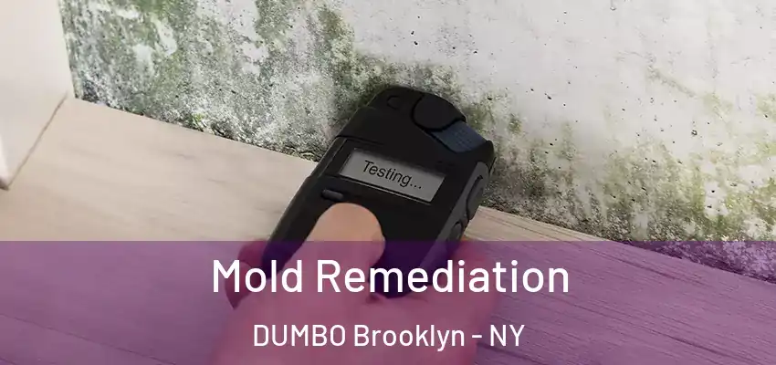  Mold Remediation DUMBO Brooklyn - NY