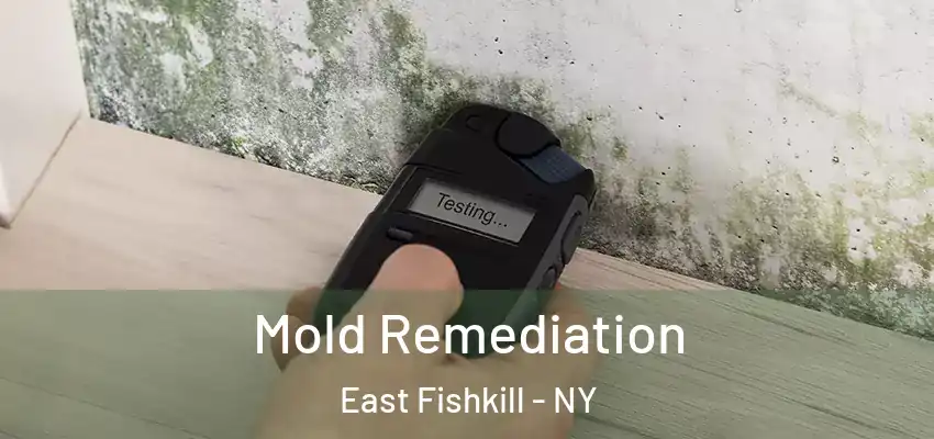  Mold Remediation East Fishkill - NY