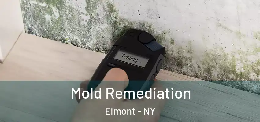  Mold Remediation Elmont - NY