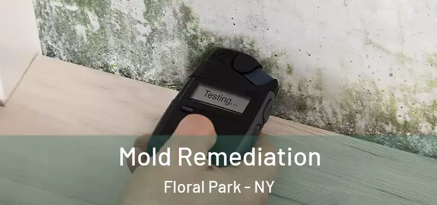  Mold Remediation Floral Park - NY