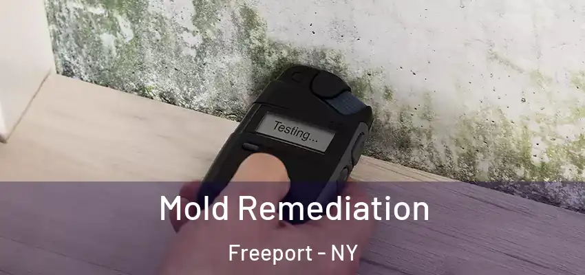 Mold Remediation Freeport - NY