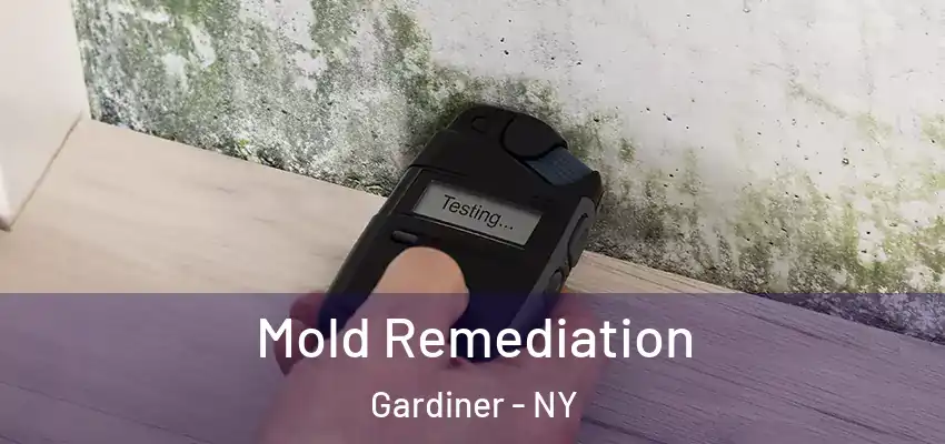 Mold Remediation Gardiner - NY