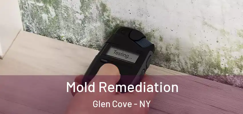  Mold Remediation Glen Cove - NY