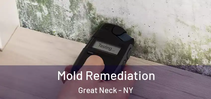 Mold Remediation Great Neck - NY