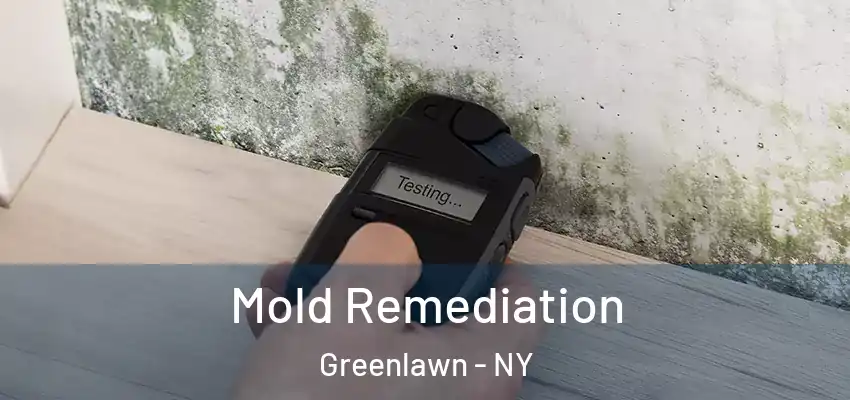 Mold Remediation Greenlawn - NY