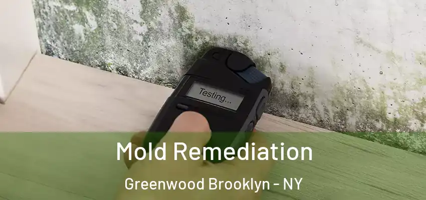  Mold Remediation Greenwood Brooklyn - NY
