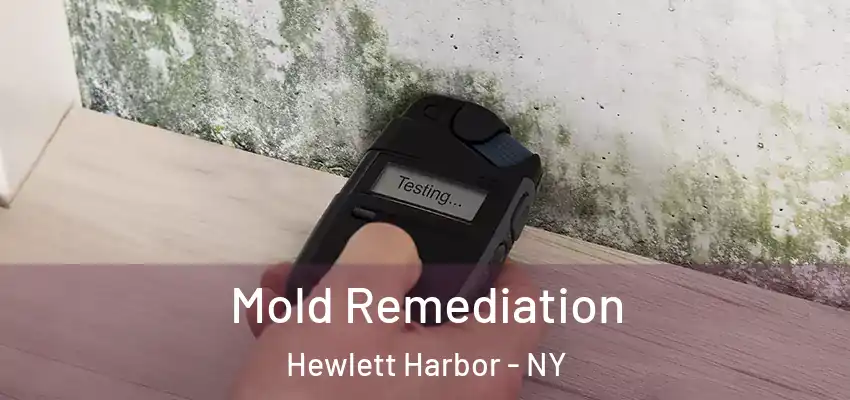 Mold Remediation Hewlett Harbor - NY