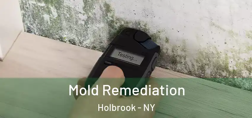  Mold Remediation Holbrook - NY