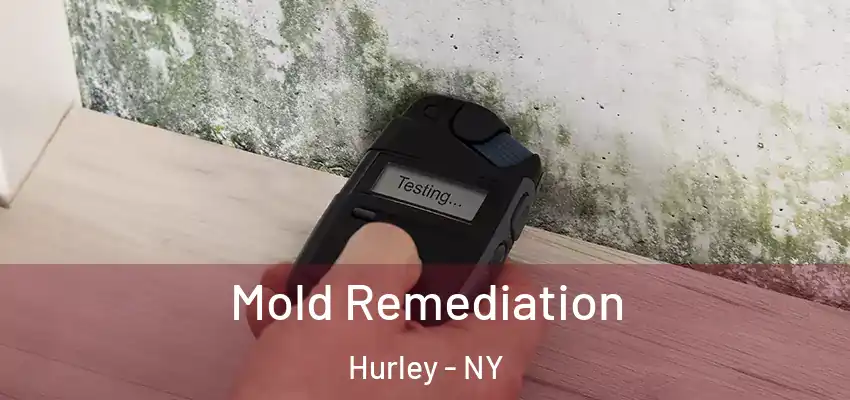 Mold Remediation Hurley - NY