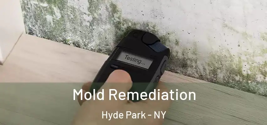 Mold Remediation Hyde Park - NY