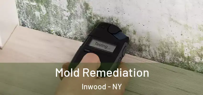  Mold Remediation Inwood - NY
