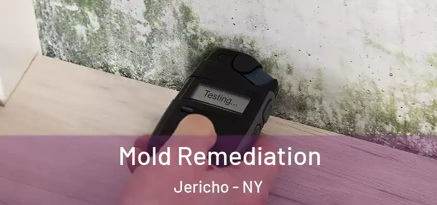  Mold Remediation Jericho - NY