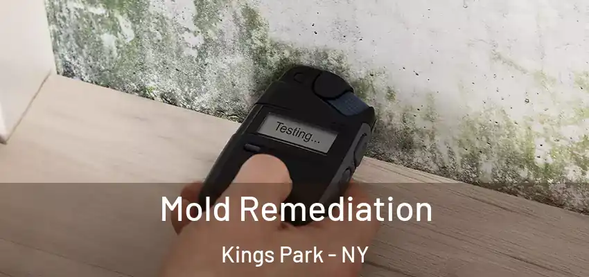  Mold Remediation Kings Park - NY
