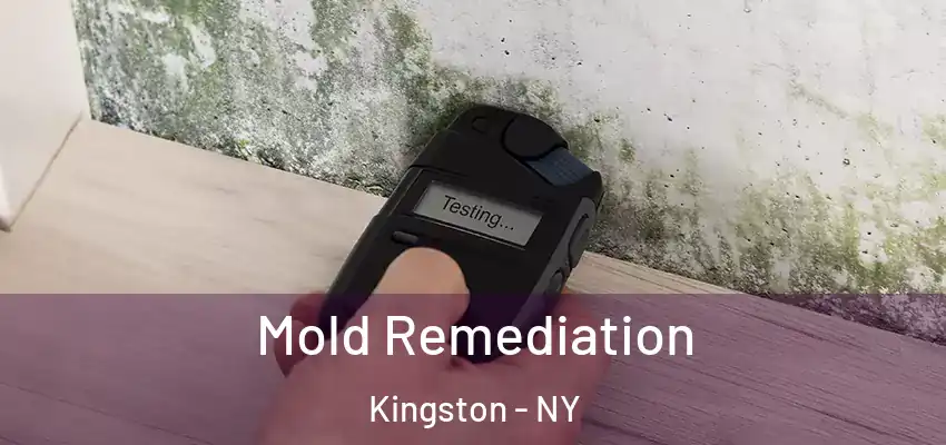 Mold Remediation Kingston - NY