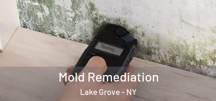  Mold Remediation Lake Grove - NY