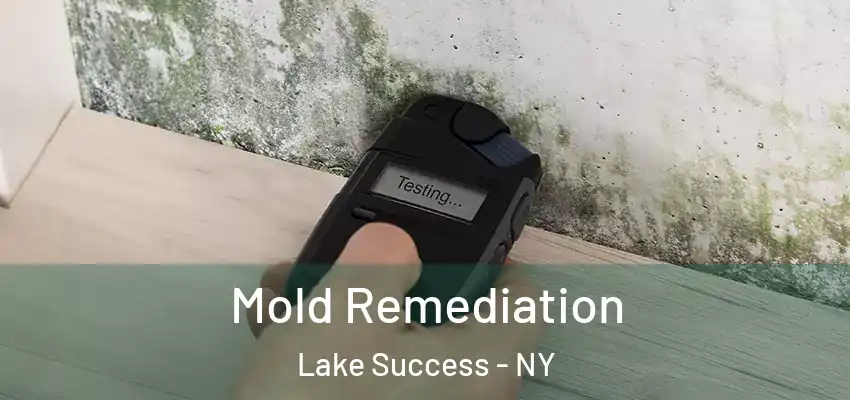  Mold Remediation Lake Success - NY