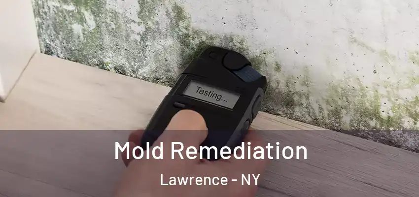 Mold Remediation Lawrence - NY