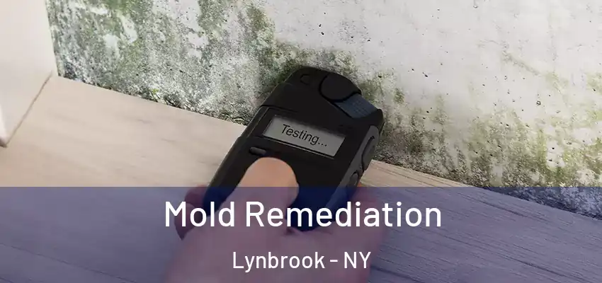 Mold Remediation Lynbrook - NY