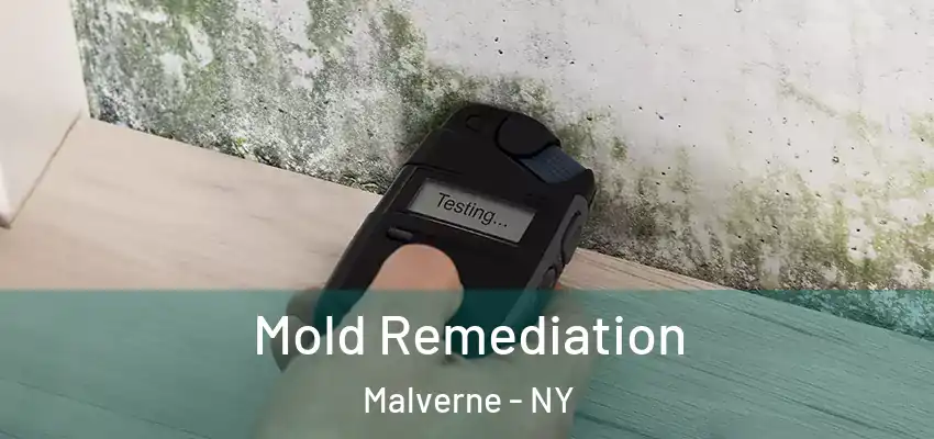  Mold Remediation Malverne - NY