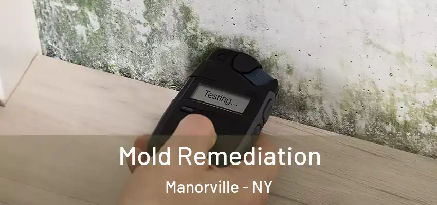  Mold Remediation Manorville - NY