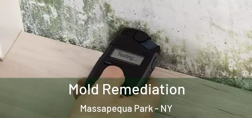  Mold Remediation Massapequa Park - NY