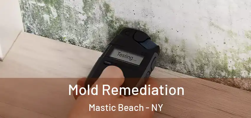  Mold Remediation Mastic Beach - NY