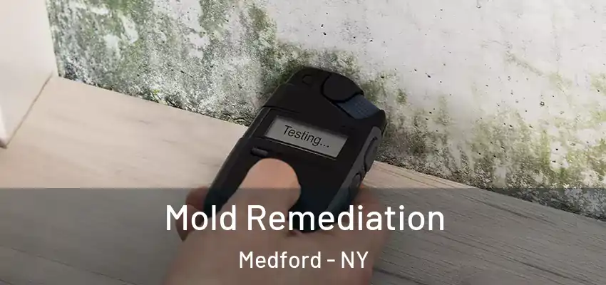  Mold Remediation Medford - NY