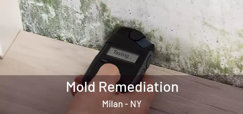 Mold Remediation Milan - NY