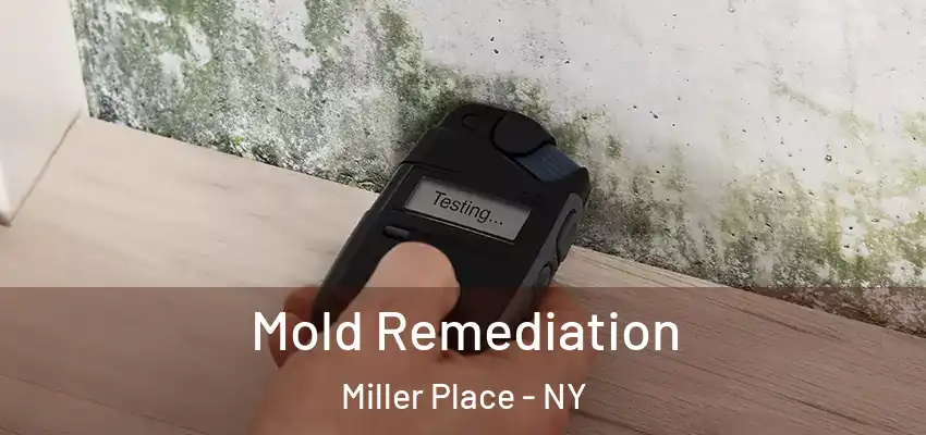  Mold Remediation Miller Place - NY